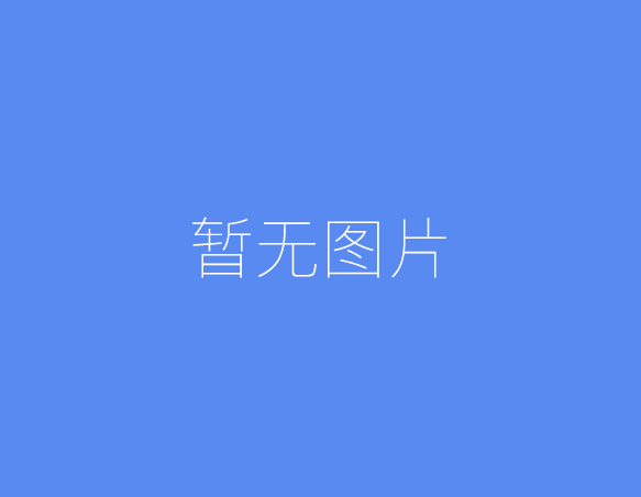 游戏名称：小兵求爱记 V1.6.2豪华版 STEAM官方中文版
